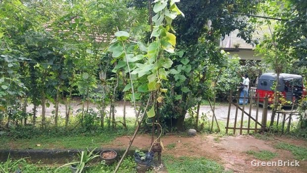 House in Matara - මාලිම්බඩ, කද්දුව, මාතර