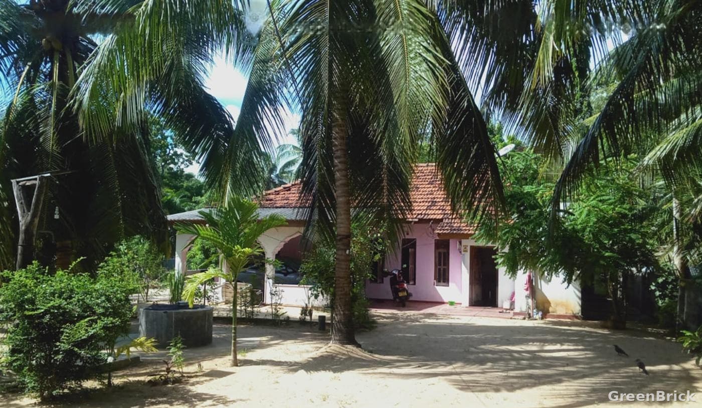 House in Ampara - Thambiluvil, Thirukovil, Ampara