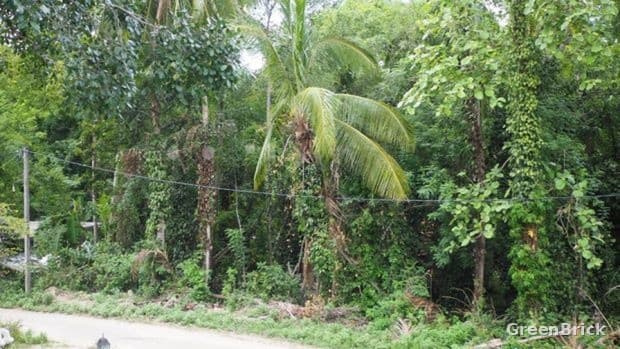 Land in Monaragala - Sirivijayapura, Pansala Asala, Bibila Road, Monaragala
