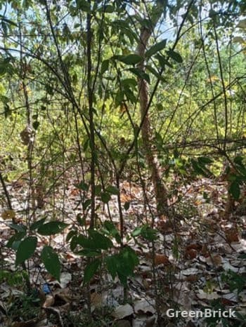 Land in Monaragala - Gam Udawa Junction, Opposite the Clock Tower