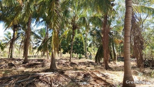 Land in Monaragala - No. 84, Near the Community Hall, Mahayaya, Athiliwewa