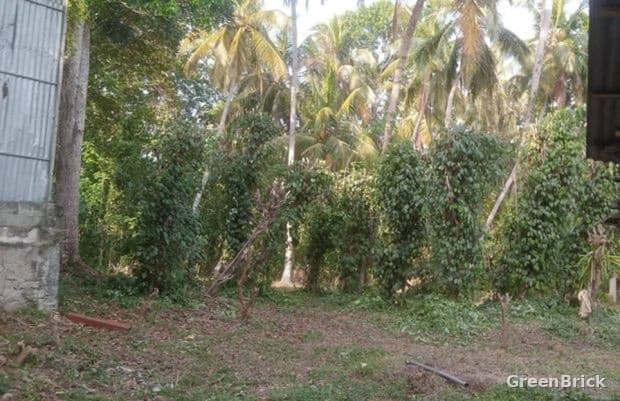 Land in Monaragala - Monaragala City, Monaragala