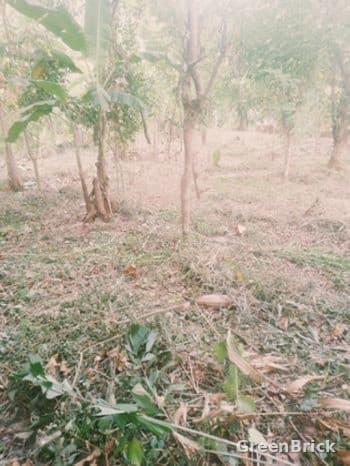 Land in Monaragala - Abhaya Road, Welewatte, Monaragala