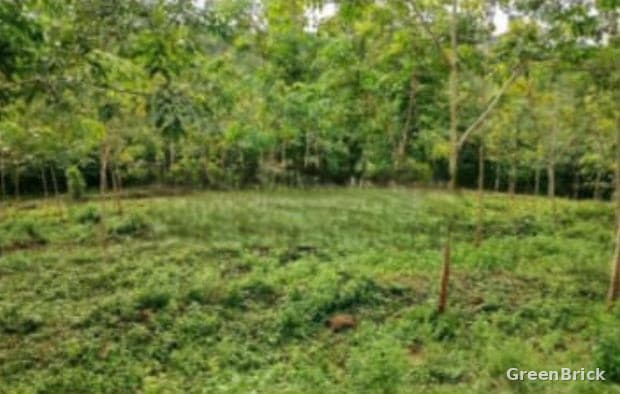 Land in Monaragala - Monaragala City, Monaragala