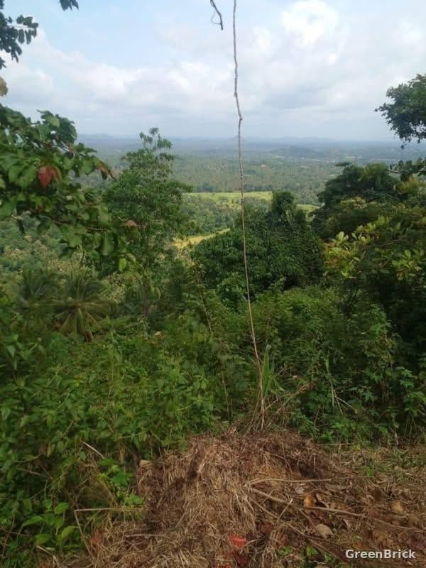 Land in Kurunegala - Kurunegala