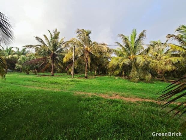 Land in Puttalam - Puttalam