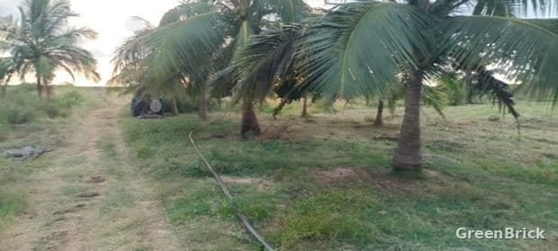 Land in Puttalam - Puttalam