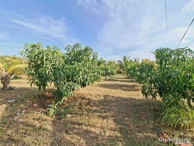 Land in Puttalam - Puttalam