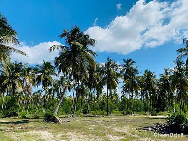 Land in Puttalam - Puttalam
