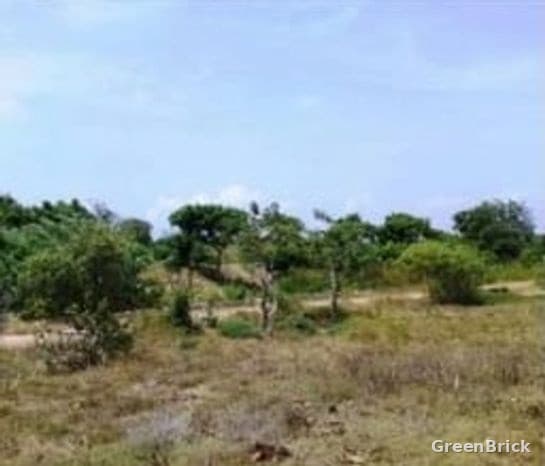 Land in Puttalam - Land for Sale facing the Lagoon