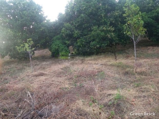 Land in Trincomalee - Trincomalee City, Trincomalee