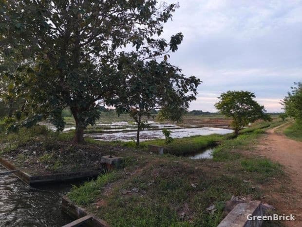 Land in Trincomalee - R/B, 2nd Canal, Morawawa, Namalwaththa, Trincomalee