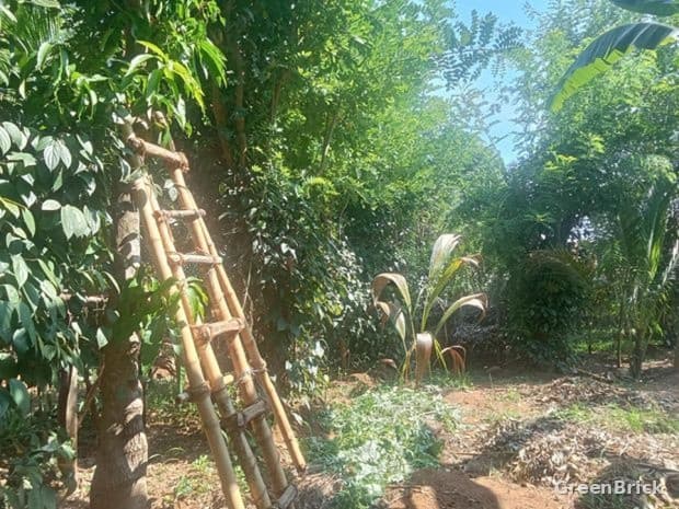 Land in Ampara - No. 21/182, Tissapura, Uhana