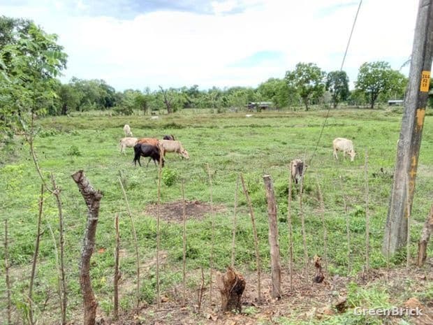 Land in Ampara - No. 33/41/2/1, Wawsiripura, Gonagolla, Ampara
