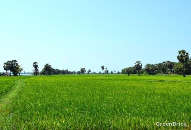 Land in Ampara - Kittangi Road, Ampara