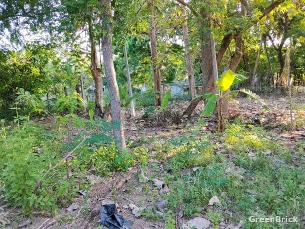Land in Ampara - 12 Kolani, Ampara