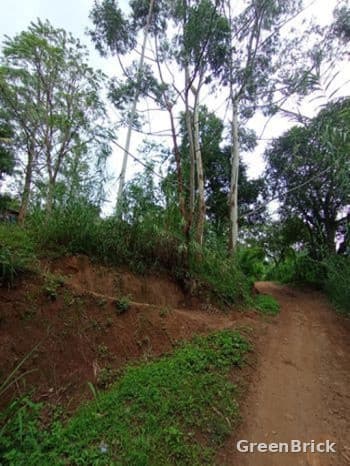 Land in Badulla - Nugathalawa Para, Nikawetawela