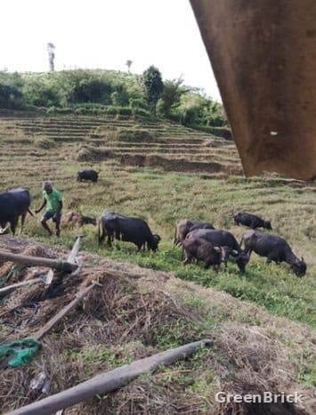 Land in Badulla - Kandegedara, Badulla