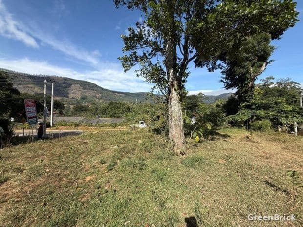 Land in Badulla - Wangiyakumbura, Badulla