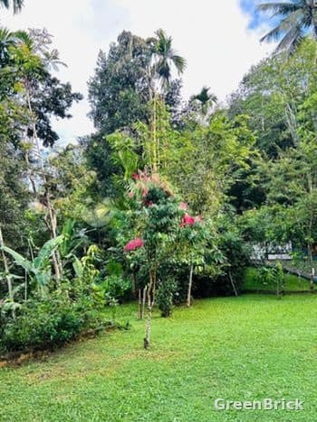 Land in Badulla - Rideepana, Badulla