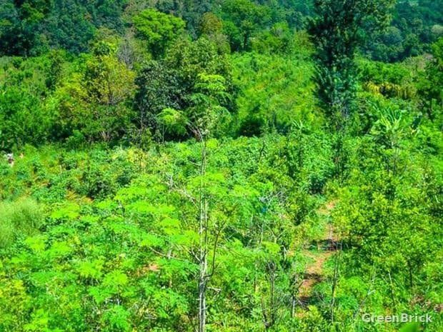 Land in Badulla - Thaldena, Badulla–Mahiyangana Main Road