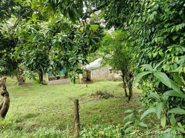 Land in Badulla - Spring Valley Road, Badulla