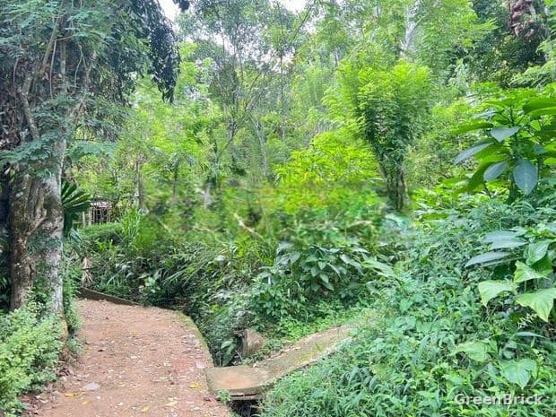Land in Badulla - Weenithagama, 2nd Mile Post, Badulla