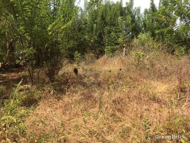 Land in Badulla - Badulla City, Badulla