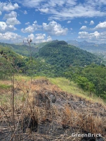Land in Badulla - Dunuwangiya, Badulla