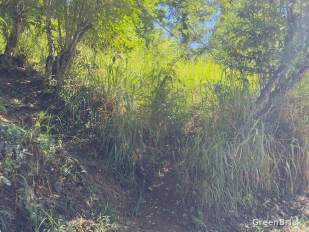 Land in Badulla - Damanwara, Badulla