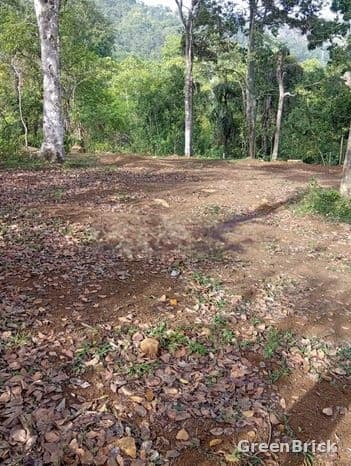 Land in Badulla - No. 142, Veneethagama, Badulla