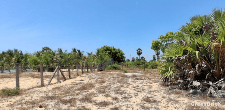 Land in Batticaloa - Thiraimadu, Batticaloa