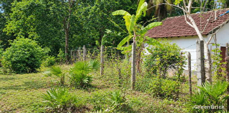Land in Batticaloa - Thiruperunthurai, Batticaloa