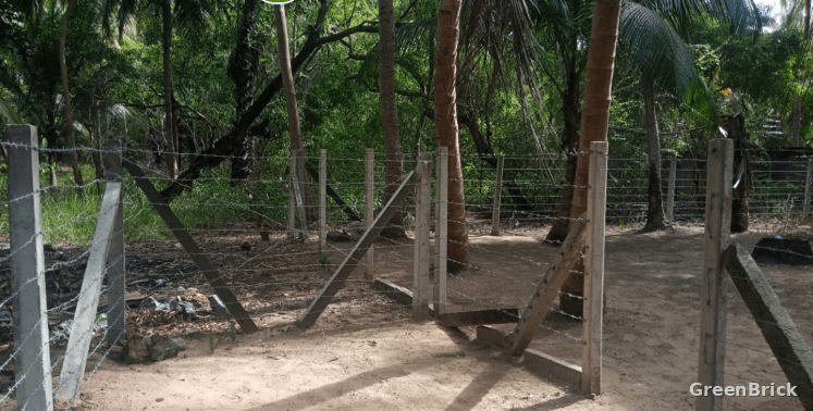 Land in Batticaloa - Palameenmadu, Batticaloa